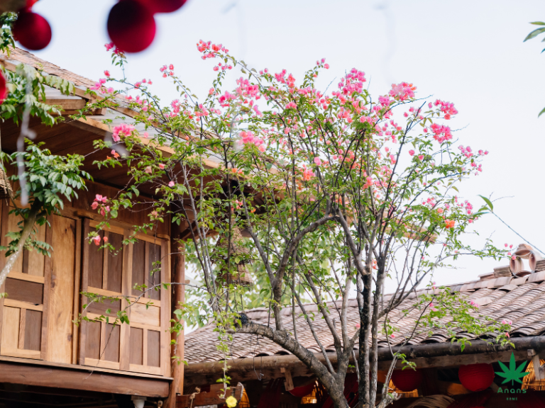 Thiết kế chưa có tên (19)